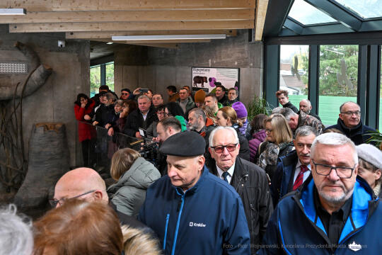 hipopotam, hipopotamki, karłowate, Majchrowski, ZOO, ogród zoologiczny, pawilon, wybieg, 2023, otw