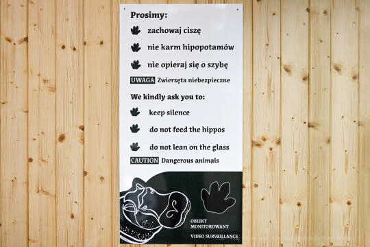 hipopotam, hipopotamki, karłowate, Majchrowski, ZOO, ogród zoologiczny, pawilon, wybieg, 2023, otw