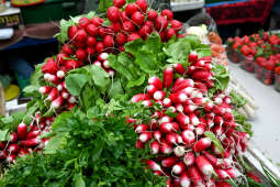 umk_3744.jpg-Stary Kleparz, zakupy, Rynek, Jarmark, Wielkanocny, turyści, 2023, plac targowy