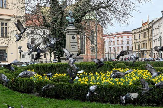 umk_4028.jpg-wiosna, Planty, Kraków, kwiaty, drzewa, zielono, zieleń, ludzie, miasto, 2023