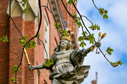 umk_4216.jpg-wiosna, Planty, Kraków, kwiaty, drzewa, zielono, zieleń, ludzie, miasto, 2023