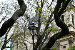 umk_4235.jpg-wiosna, Planty, Kraków, kwiaty, drzewa, zielono, zieleń, ludzie, miasto, 2023