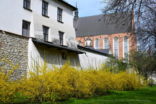 umk_4320.jpg-wiosna, Planty, Kraków, kwiaty, drzewa, zielono, zieleń, ludzie, miasto, 2023