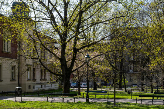 umk_5717.jpg-wiosna, Planty, Kraków, kwiaty, drzewa, zielono, zieleń, ludzie, miasto, 2023