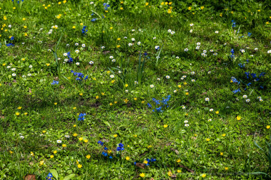 umk_5728.jpg-wiosna, Planty, Kraków, kwiaty, drzewa, zielono, zieleń, ludzie, miasto, 2023