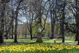 umk_5747.jpg-wiosna, Planty, Kraków, kwiaty, drzewa, zielono, zieleń, ludzie, miasto, 2023