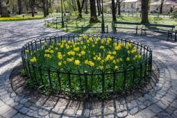 umk_5752.jpg-wiosna, Planty, Kraków, kwiaty, drzewa, zielono, zieleń, ludzie, miasto, 2023
