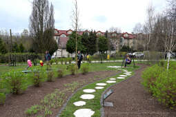 Irena, Jarocka, skwer, Motylem, Jestem, Kośmider, Prokocim, otwarcie, Fijałkowska, mieszkańcy, 20