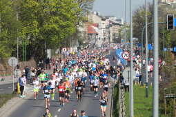 zdjęcie 23.04.2023, 10 04 17.jpg