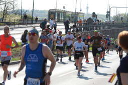 zdjęcie 23.04.2023, 10 19 10.jpg