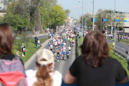 zdjęcie 23.04.2023, 10 02 24.jpg-CM,Maraton