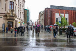 bs-230503-img_8631.jpg-3 maja