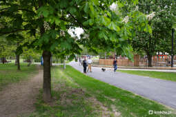 bs_230513_1912.jpg-Piknik w parku Kurdwanów, 05.2023, p. Kulig