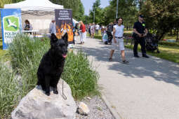 bs-230527-img_6812.jpg-Piknik Chorwacki, Majchrowski, Bagry