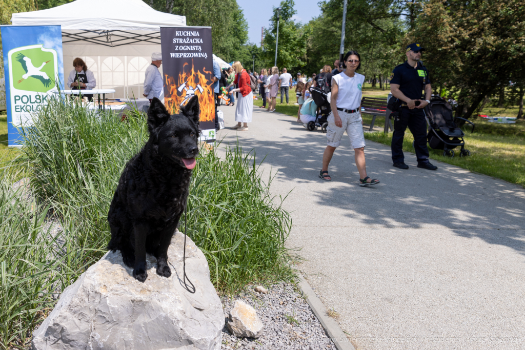 bs-230527-img_6812.jpg-Piknik Chorwacki, Majchrowski, Bagry  Autor: B. Świerzowski
