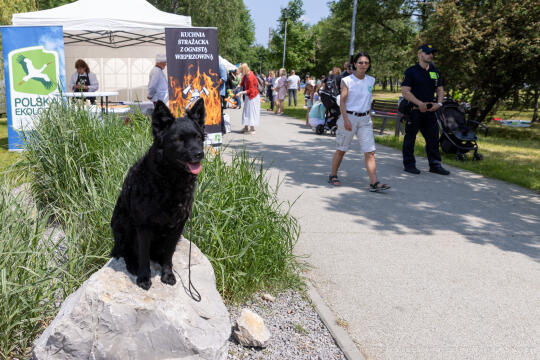 bs-230527-img_6812.jpg-Piknik Chorwacki, Majchrowski, Bagry