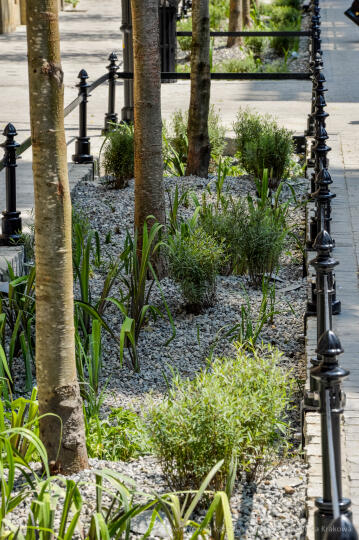 bs-120102-jg_120102_oto_6024.jpg-Krupnicza, Majchrowski, otwarcie