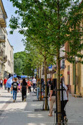 bs-120102-jg_120102_oto_6047.jpg-Krupnicza, Majchrowski, otwarcie