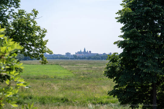 Majchrowski, budowa, Cichy Kącik, Centrum, Muzyki, wizyta, gospodarska