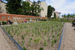 bs-230702-img_1840.jpg-Park, Szymborska