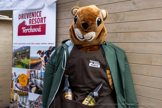 targi, sztuka, ludowa, rzemiosło, rękodzieło, Słowacja, Muzyk, orzeł pustynny, Rynek, konsul