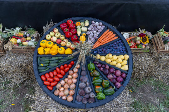 bs-230827-img_3848.jpg-Dożynki, Wolica