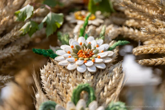 bs-230827-img_3885.jpg-Dożynki, Wolica