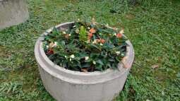 img_20230828_080152.jpg-Prace ogrodowe na Helclów.