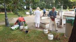 img_20230829_093133.jpg-Prace ogrodowe na Helclów.