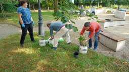 img_20230829_093411.jpg-Prace ogrodowe na Helclów.