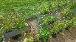 img_20230829_113236.jpg-Prace ogrodowe na Helclów.