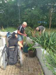 received_1031329104978605.jpeg-Prace ogrodowe na Helclów.