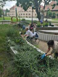 received_1355052828723011.jpeg-Prace ogrodowe na Helclów.