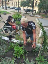 received_1394649248061167.jpeg-Prace ogrodowe na Helclów.