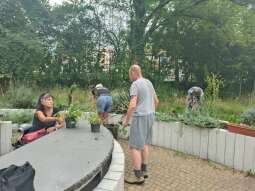 received_1914405652293008.jpeg-Prace ogrodowe na Helclów.