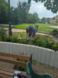 received_266973412862776.jpeg-Prace ogrodowe na Helclów.