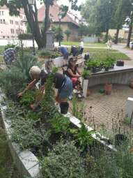 received_273816388726880.jpeg-Prace ogrodowe na Helclów.