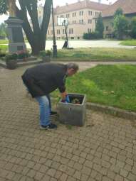 received_308791284979605.jpeg-Prace ogrodowe na Helclów.