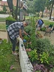 received_781287353737193.jpeg-Prace ogrodowe na Helclów.