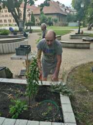 received_823239066139935.jpeg-Prace ogrodowe na Helclów.