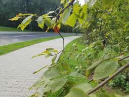 agatowa_przebudowa_sierpien_2023-3.jpg-Otwarcie ul. Agatowej