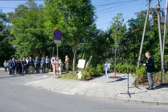 uroczystość, Swoszowice, Dietl, Dietla, tablica, tabliczka, platan, dzieci, Wassermann, Fryczek, K