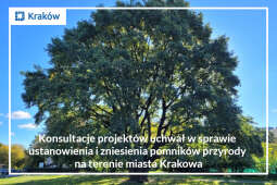Logo: Konsultacje projektów uchwał w sprawie ustanowienia i zniesienia pomników przyrody na terenie miasta Krakowa