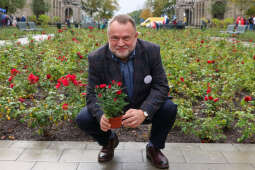 Przed nami święto alei Róż