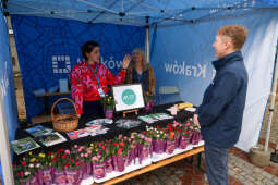 Przed nami święto alei Róż