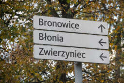 System Informacji Miejskiej