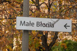 System Informacji Miejskiej