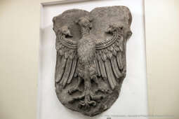 umk_8875.jpg-Pałac Wielopolskich, UMK, artefakty, detale, architektura, wyposażenie