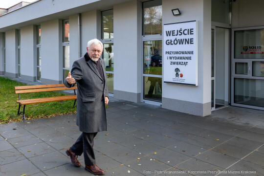 Kraków, Otofotokronika, Urząd Miasta Krakowa, UMK, Majchrowski, Schronisko Dla Bezdomnych Zwierzą