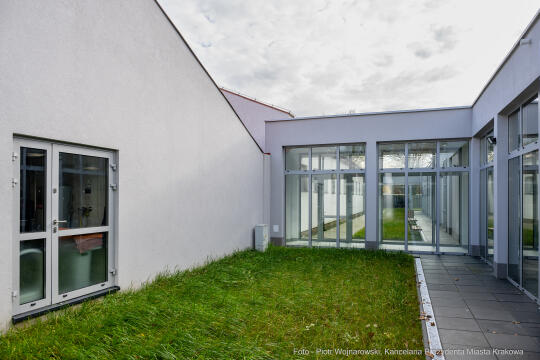 Kraków, Otofotokronika, Urząd Miasta Krakowa, UMK, Majchrowski, Schronisko Dla Bezdomnych Zwierzą